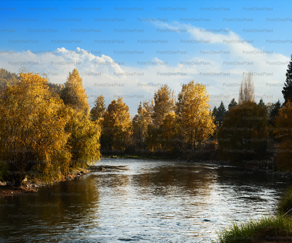 Autumn River